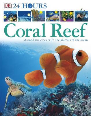 Coral Reef: Around the Clock with the Animals of the Ocean image