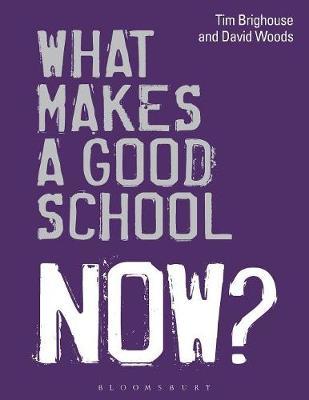 What Makes a Good School Now? by Tim Brighouse image