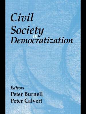 Civil Society in Democratization image