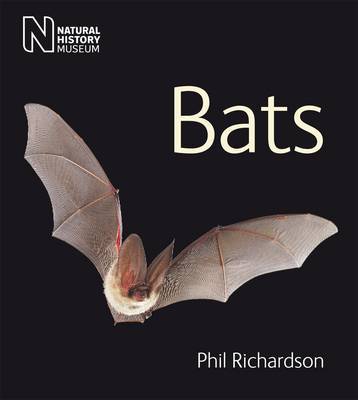 Bats by Phil Richardson image