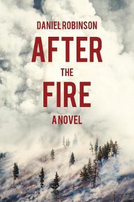 After the Fire by Daniel Robinson image