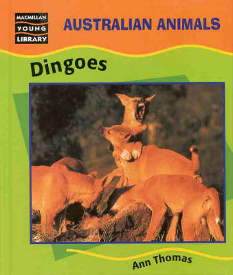 Dingoes on Hardback by Ann Thomas