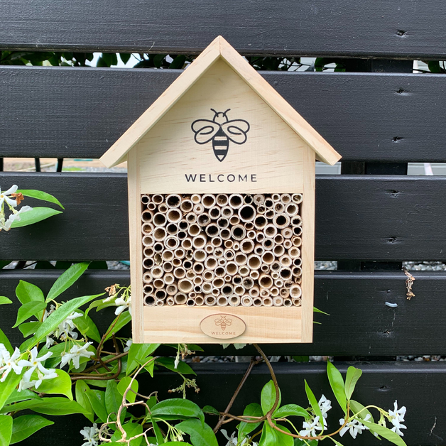 Welcome Buzz Bee Hotel