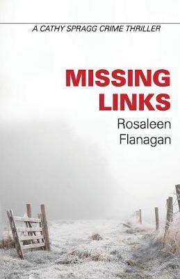 Missing Links by Rosaleen Flanagan image