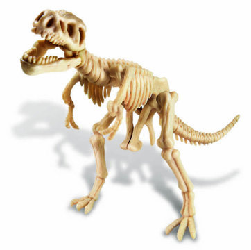 4M: Excavation Kits Tyrannosaurus Rex Skeleton image