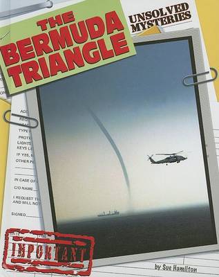 Bermuda Triangle by Sue Hamilton image