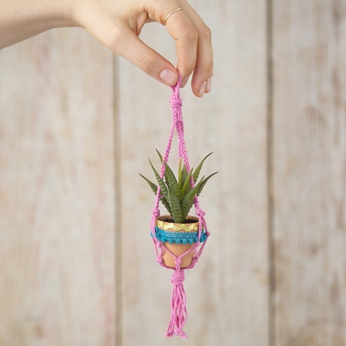 Natural Life: Macrame Succulent - Teal Pompom