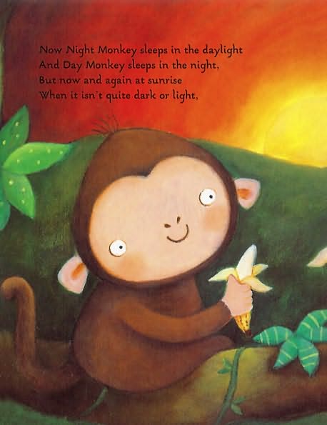 Night Monkey, Day Monkey by Julia Donaldson image