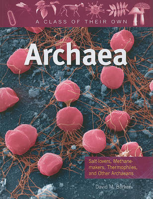 Archaea by David M Barker image