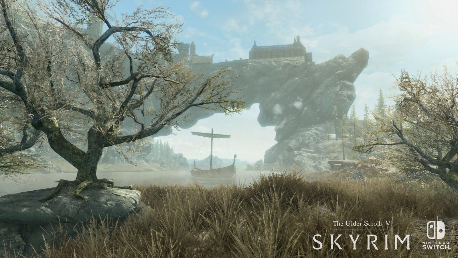 The Elder Scrolls V: Skyrim for Nintendo Switch image