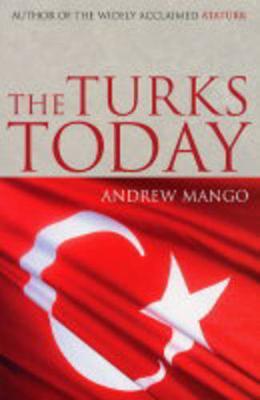 The Turks Today by Andrew Mango image
