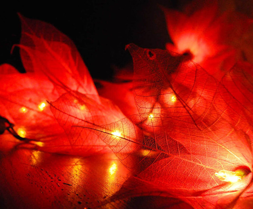 Red Lily - LED String Lights image