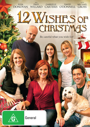12 Wishes of Christmas on DVD image