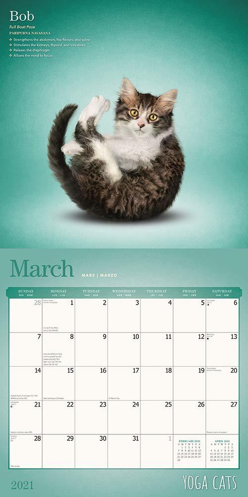 Yoga Cats 2021 Square Wall Calendar