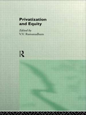 Privatization and Equity image