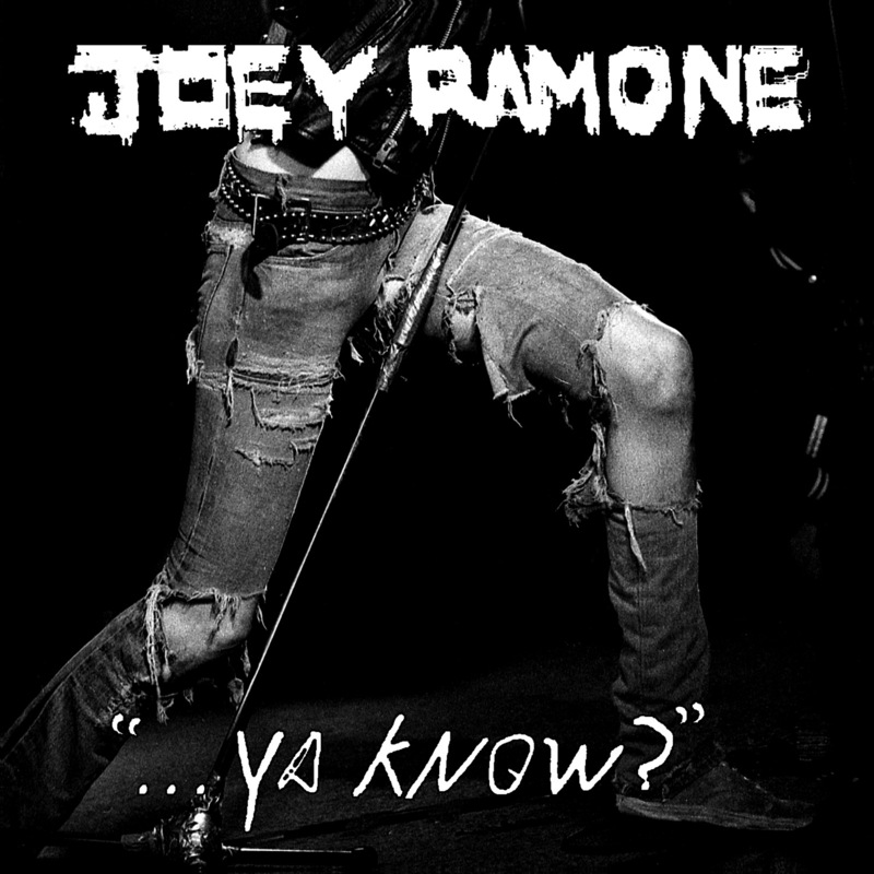 Ya Know? by Joey Ramone image