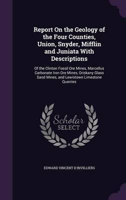 Report on the Geology of the Four Counties, Union, Snyder, Mifflin and Juniata with Descriptions by Edward Vincent D'Invilliers image