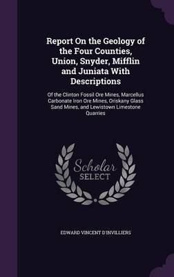 Report on the Geology of the Four Counties, Union, Snyder, Mifflin and Juniata with Descriptions image