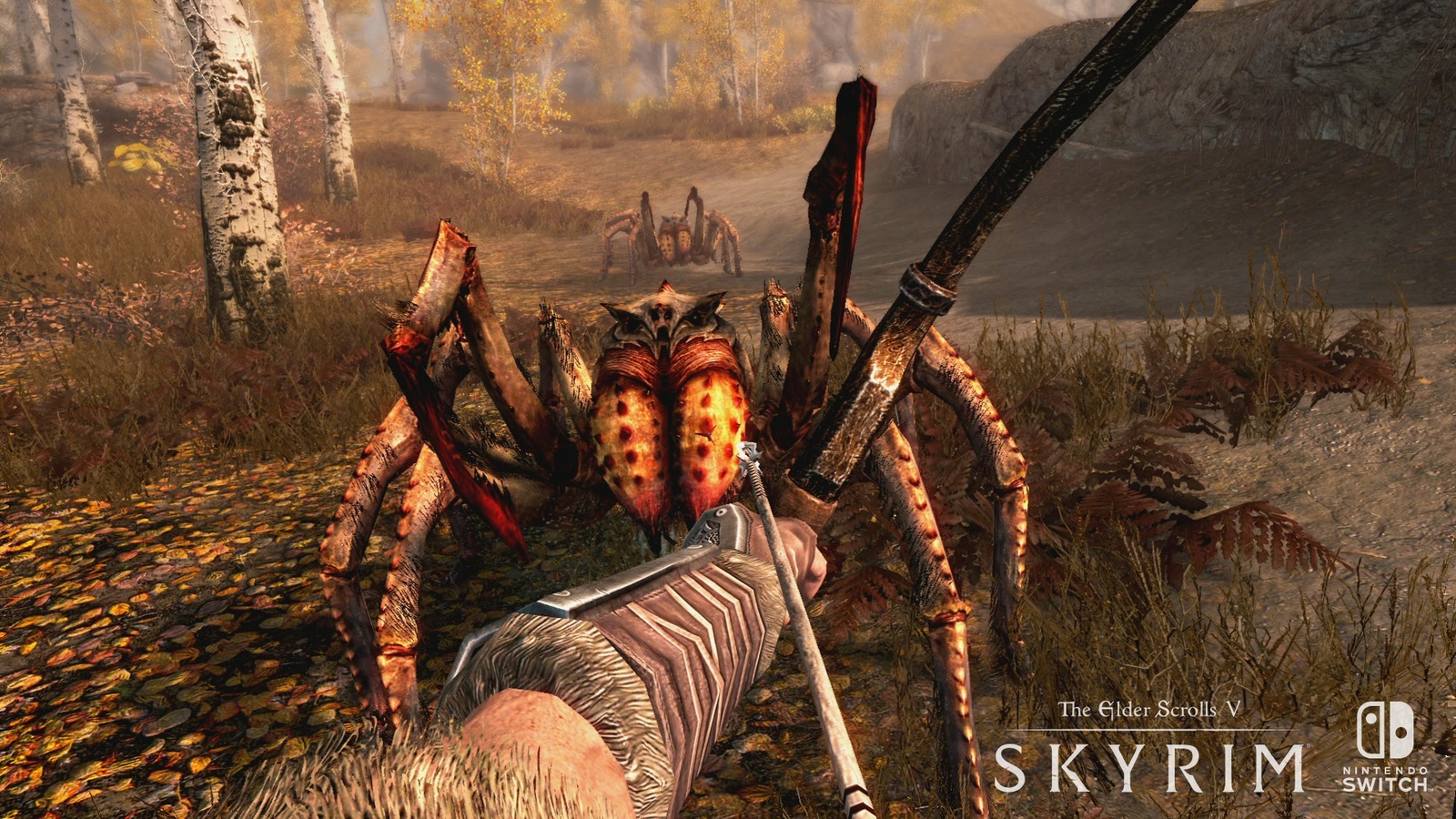 The Elder Scrolls V: Skyrim for Nintendo Switch image