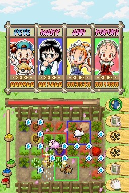 Puzzle de Harvest Moon for Nintendo DS image