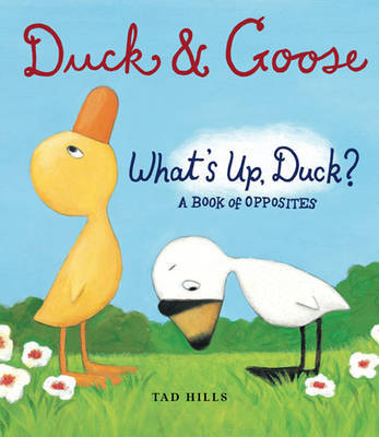 A Book of Opposites by Tad Hills image