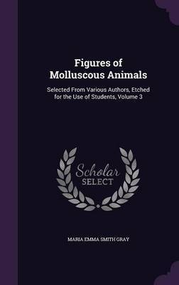 Figures of Molluscous Animals by Maria Emma Smith Gray image