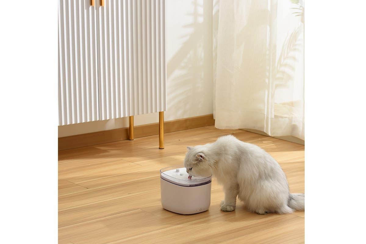 Buy Kogan SmarterHome 1.9L Pet Water Fountain at Mighty Ape NZ