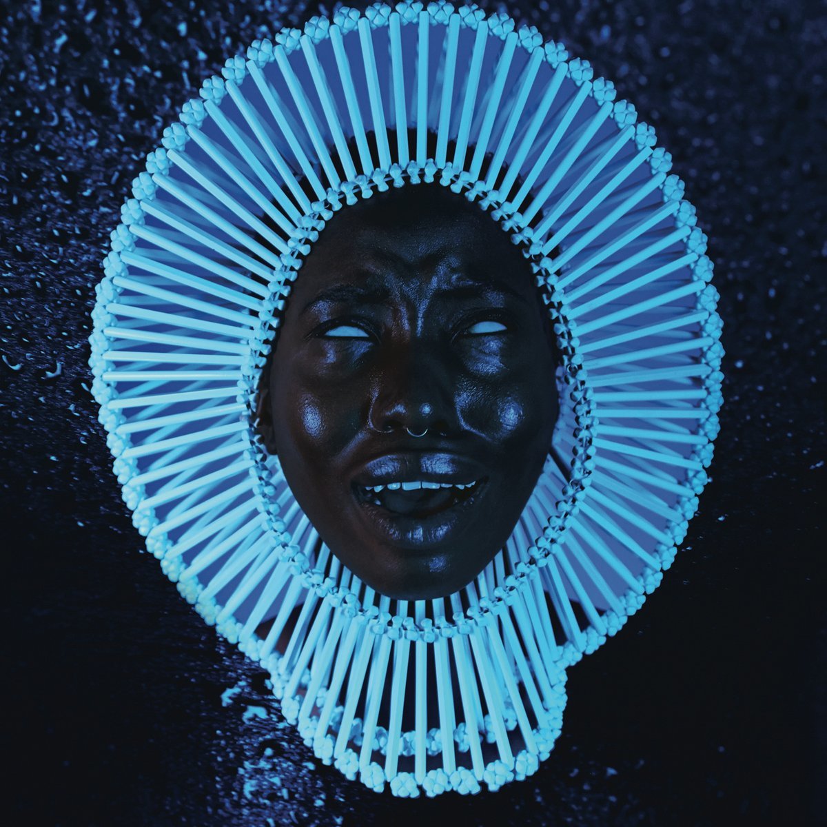 Awaken, My Love image