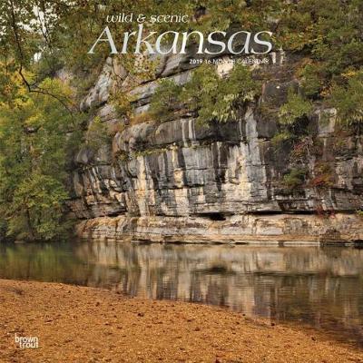 Arkansas Wild & Scenic 2019 Square Foil by Inc Browntrout Publishers image