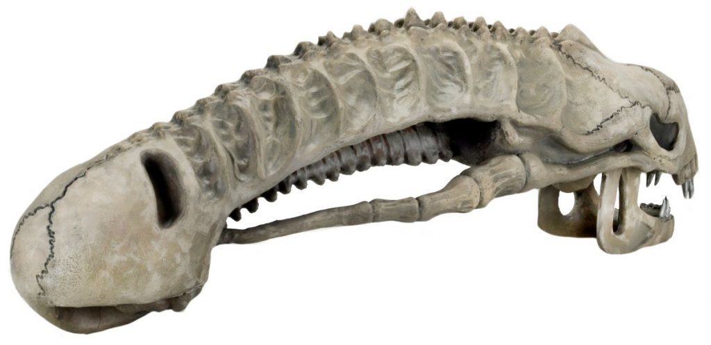 Xenomorph Skull - 36" Foam Replica image