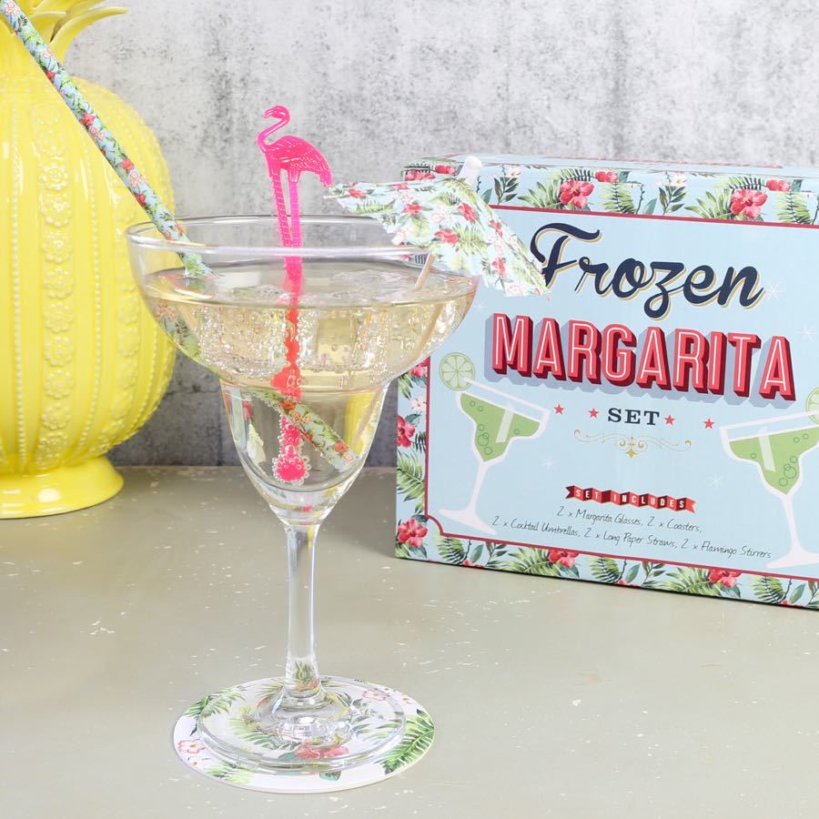 Summer Festival Frozen Margarita Cocktail Glass Gift Set at Mighty