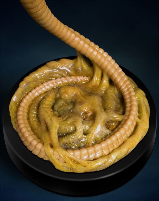 Alien Facehugger - 1:1 Life-Sized Replica image