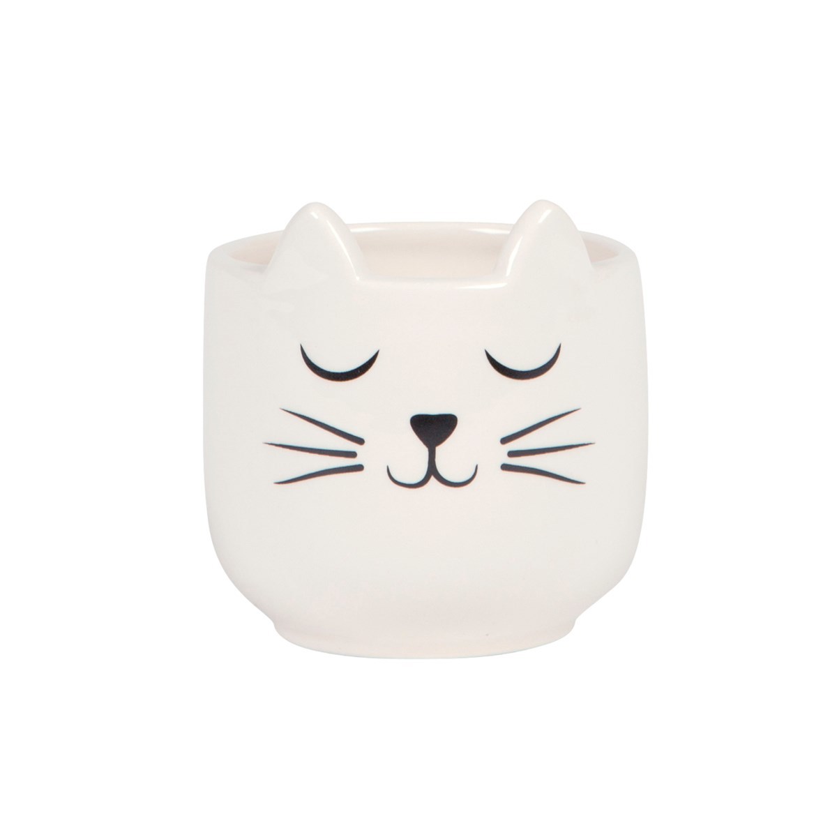 Cat's Whiskers Mini Planter image