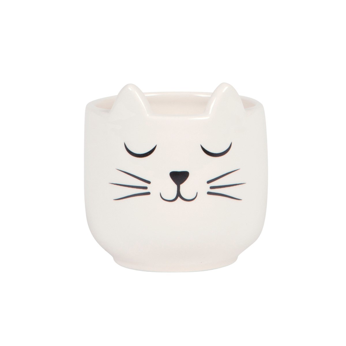 Sass & Belle: Cat's Whiskers Mini Planter image