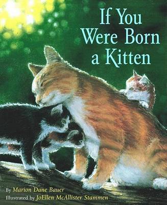 If You Were Born Kitten (Board) by Bauer image