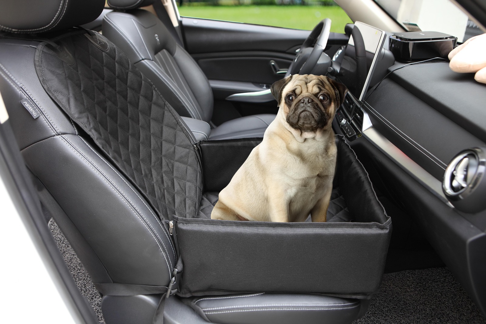 How To Take Dog Hair Out Of Car Seats