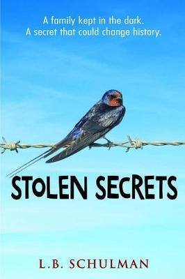 Stolen Secrets by L. B. Schulman image