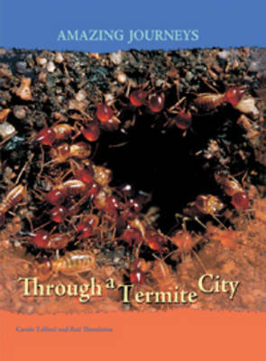 Through a Termite City by Carole Telford image