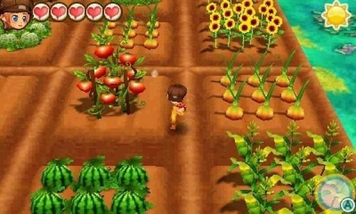 Story of Seasons: Trio of Towns for 3DS image