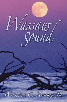 Wassaw Sound image