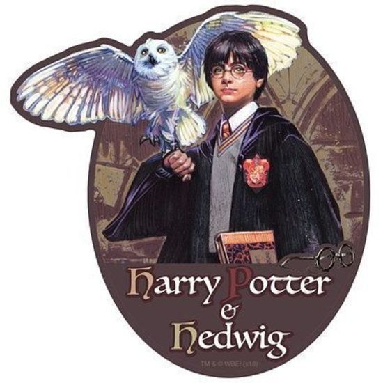 Harry Potter: Travel Sticker 1 Harry Potter & Hedwig image