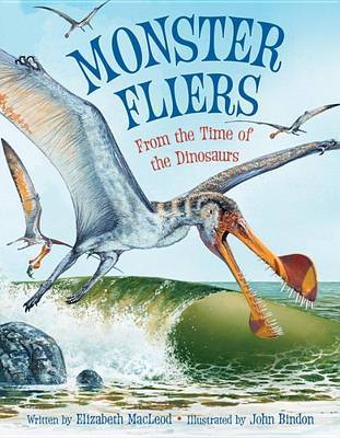 Monster Fliers: From the Time of the Dinosaurs by Elizabeth MacLeod image