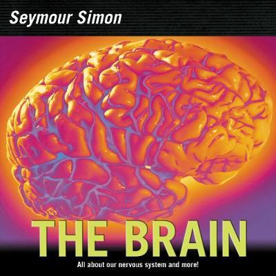 The Brain by Seymour Simon image