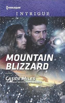 Mountain Blizzard by Cassie Miles