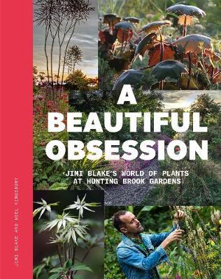 A Beautiful Obsession on Hardback by Jimi Blake