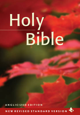 NRSV Popular Text Edition NR530:T image