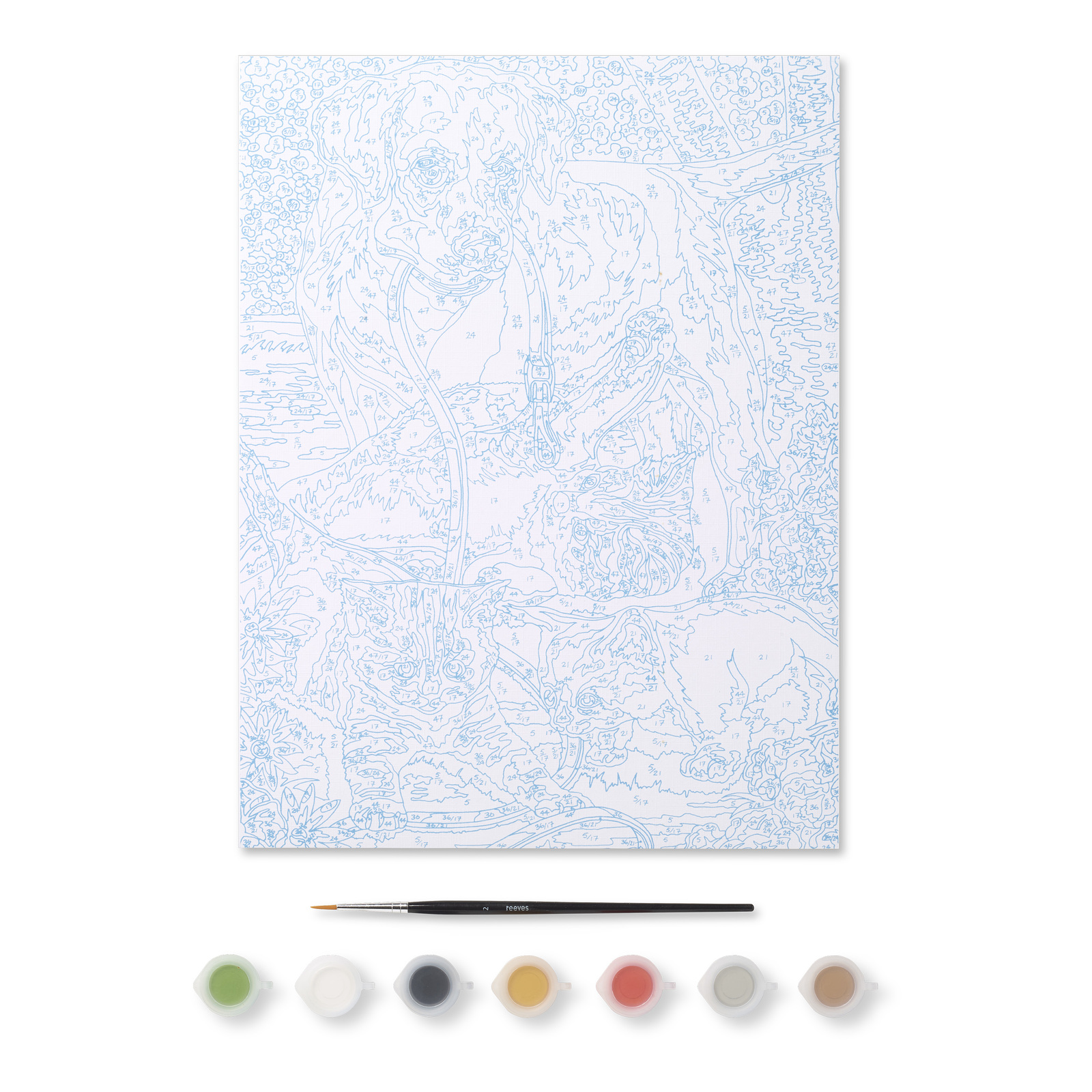 Buy Reeves Paint By Numbers Acrylic at Mighty Ape Australia