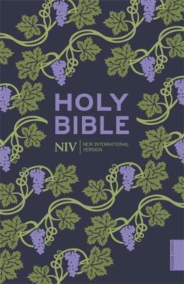 NIV Holy Bible (Hodder Classics) by New International Version image