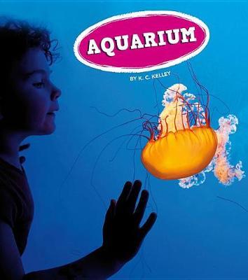Aquarium by K C Kelley image