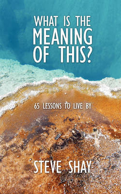 What is the Meaning of This? by Steve Shay image